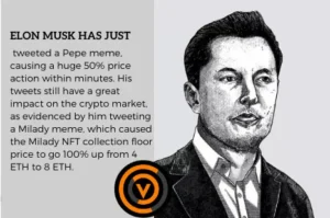 Elon Musk and Pepe Coin